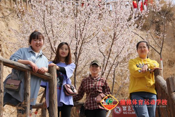 微信图片_201904040835051.jpg