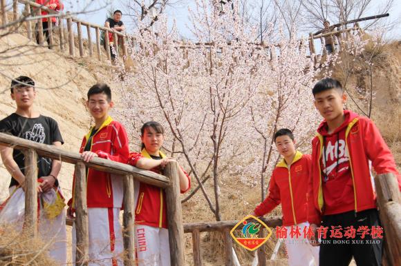 微信图片_201904040835052.jpg