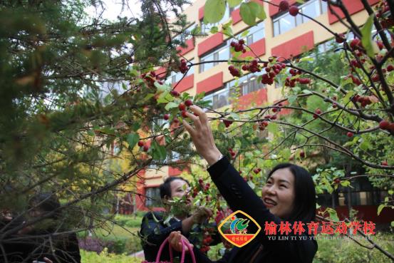 微信图片_202110151002149.png